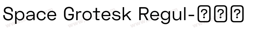 Space Grotesk Regul字体转换
